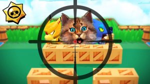 ТОП СМЕШНЫЕ МОМЕНТЫ в BRAWL STARS