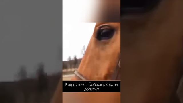 Кмд готовят бойцов к сдачи допуска #starwars #starwarsrp #garrysmod #звездныевойны смотреть онлайн