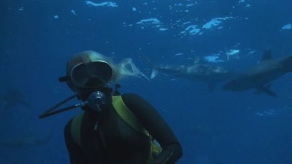 FILM OF THE DAY: Blue Water, White Death (1971)