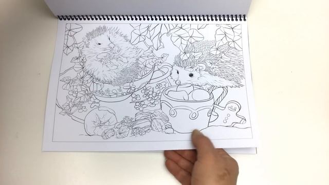 A Winter's Tale in Bramble Brook Woods Coloring Book Review смотреть онлайн