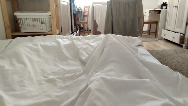 я заболела больше не могу снимать ролики, предупреждение Элис. смотреть онлайн