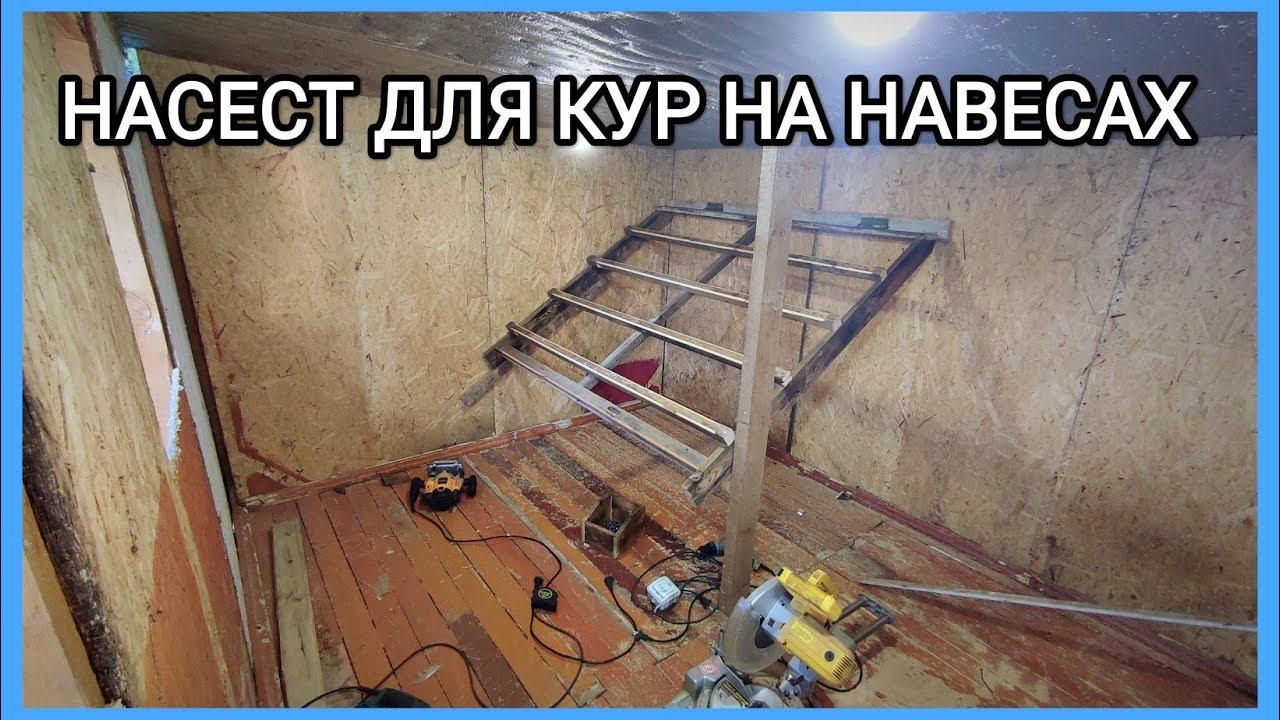 НАСЕСТ ДЛЯ КУР своими руками!!! Чистить будет удобно!!! смотреть онлайн