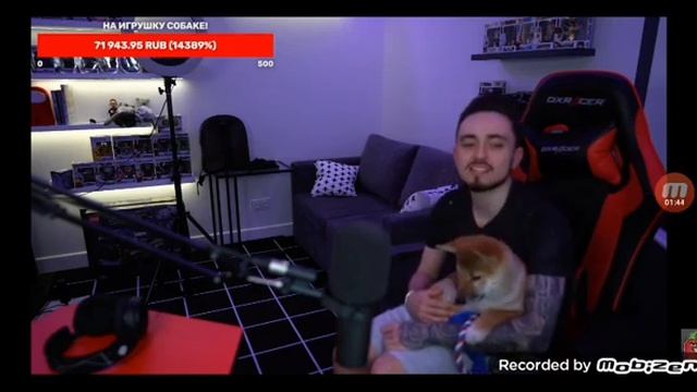 Эдисон показал свою собаку))) (ОЧЕНЬ МИЛЫЙ 🐕) смотреть онлайн