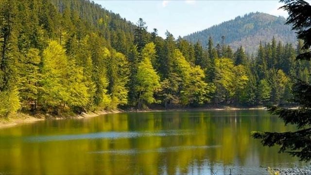 Хочу как в детстве смотреть онлайн