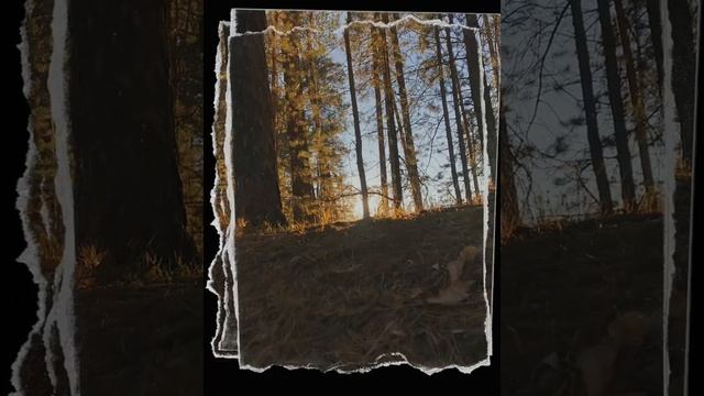 Осенние прогулки в ЖК Курья парк / Пермская рублевка. Пермь. Похоже на жк теплые кварталы погода смотреть онлайн