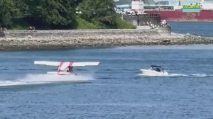 Best Fails of the Year 2024 - Лучшие приколы года😆🎉 - FailArmy