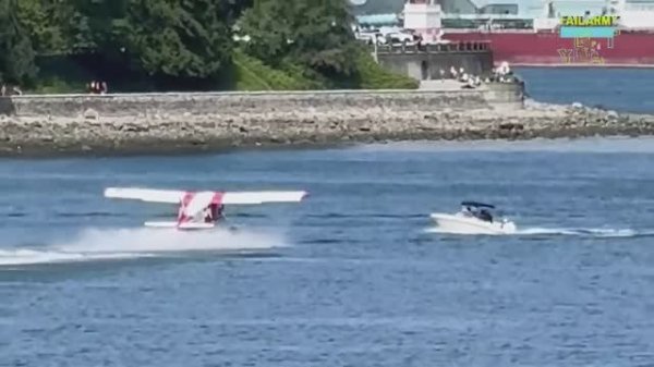 Best Fails of the Year 2024 - Лучшие приколы года😆🎉 - FailArmy