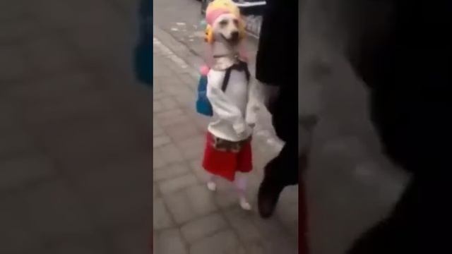А я иду такая всяА я Иду такая вся необходимая информация смотреть онлайн