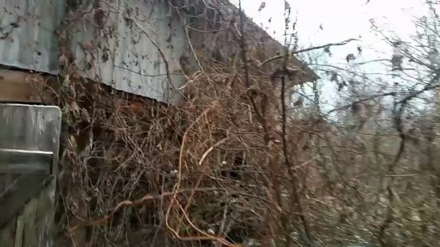 Новое приобретение смотреть онлайн