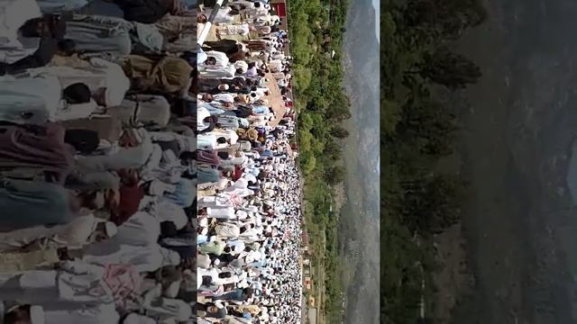 Qazi Saab phulra janaza ... смотреть онлайн