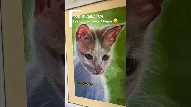 Кружок рисования в Индии #india #trevel #индия #путешествие #дети #рисование #творчество смотреть онлайн