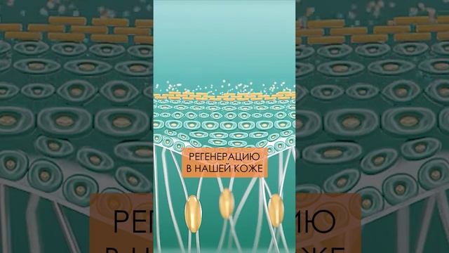 Из-за нехватки ЭТИХ масел вы СТАРЕЕТЕ! #молодость #здоровье #эфирныемасла смотреть онлайн