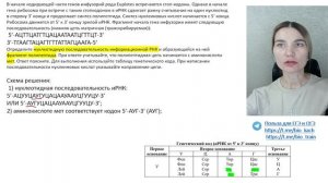 СДВИГ РАМКИ СЧИТЫВАНИЯ. Разбор задачи на синтез белка из ЕГЭ 2024