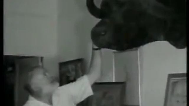 247 Эрнест Хемингуэй смотреть онлайн