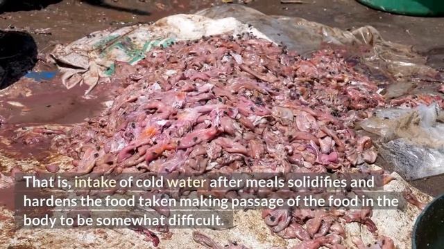 ADVERSE EFFECTS OF DRINKING COLD WATER смотреть онлайн