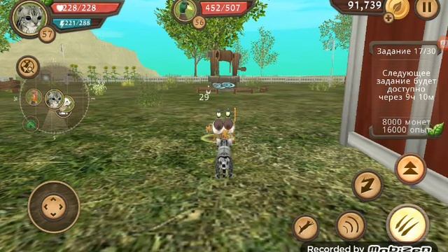 PLAY/1 Часть///CatSim//Симулятор котёнка//Симулятор Кошки Онлайн смотреть онлайн