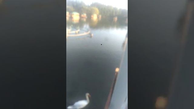 6 декабря 2019 г.