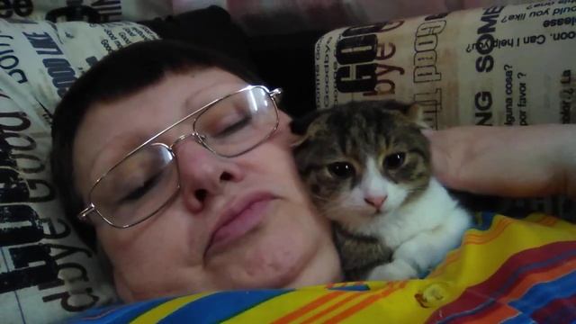 Брат приехал. смотреть онлайн