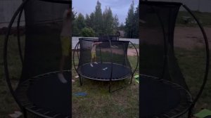 Ну как тебе понравилось?