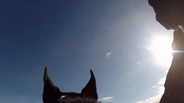 Colorado | Red Rock - K9 Hurricane's Go Pro смотреть онлайн