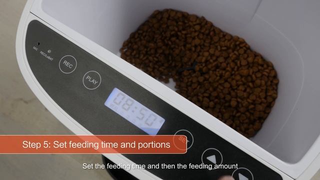 Automatic Pet Feeder PF-102 - PETWANT смотреть онлайн