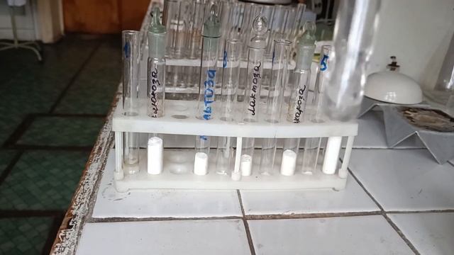 Фіз.-хім. та органолептичні вл-ті вуглеводів. Дослід 1. Розчинність та органолептичні властивості.