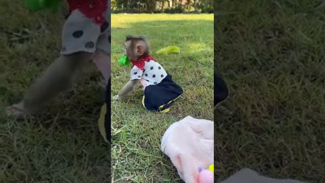 These Two Brothers Take Good Care Of Each Other #animals #family #takecare