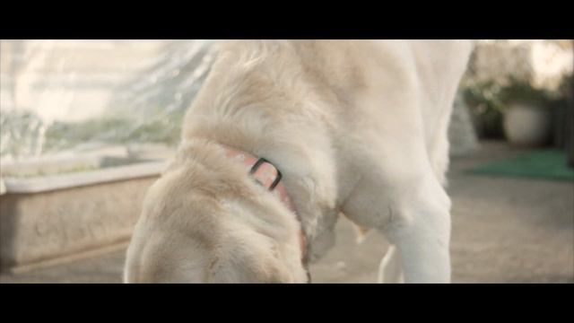 Something Here | Blackmagic Micro Cinema Camera Footage смотреть онлайн