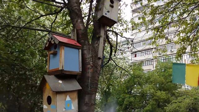 Скворечники и флаги на территории детского дома