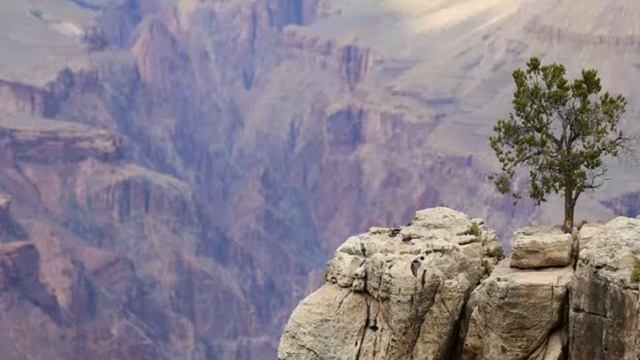 ЭПИК!! МАЛЬЧИК УПАЛ С ОБРЫВА [WASTED]