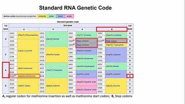 201 The Genetic Code Dictionary смотреть онлайн