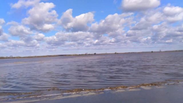 Дорога в бор смотреть онлайн