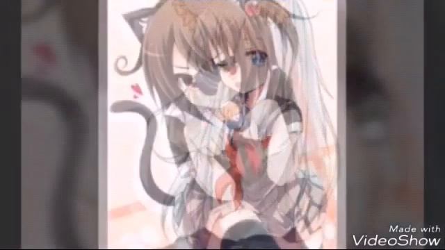 Аниме девочки-кошки смотреть онлайн