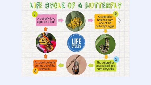 Grade 5: Semester 1 Unit 3 (Growing Up) Lesson 2 SB Ps. 22-23  Activities 1,2 And 3