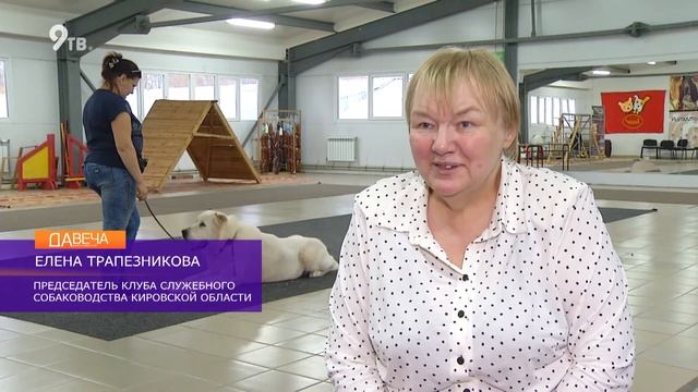 Курсы для хозяев собак смотреть онлайн