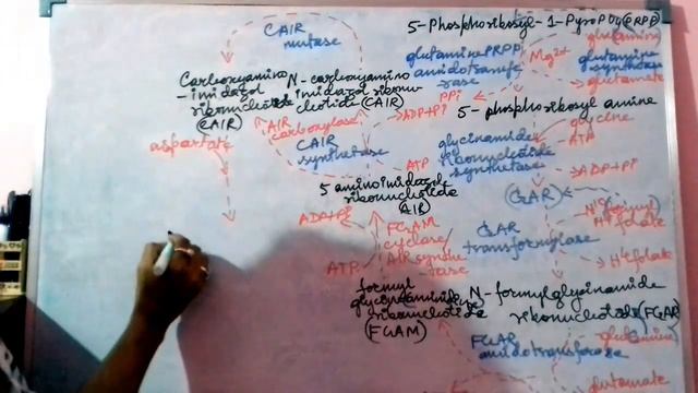 Biochemistry || (Protein Metabolism) De Novo Purine Synthesis(FOOD TECH GATE-XL)