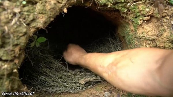 Make more nests for the hens to lay eggs. Villagers came to help DAU & TU move the warehouse