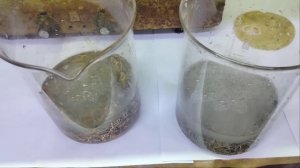 Переработка импортной лигатуры