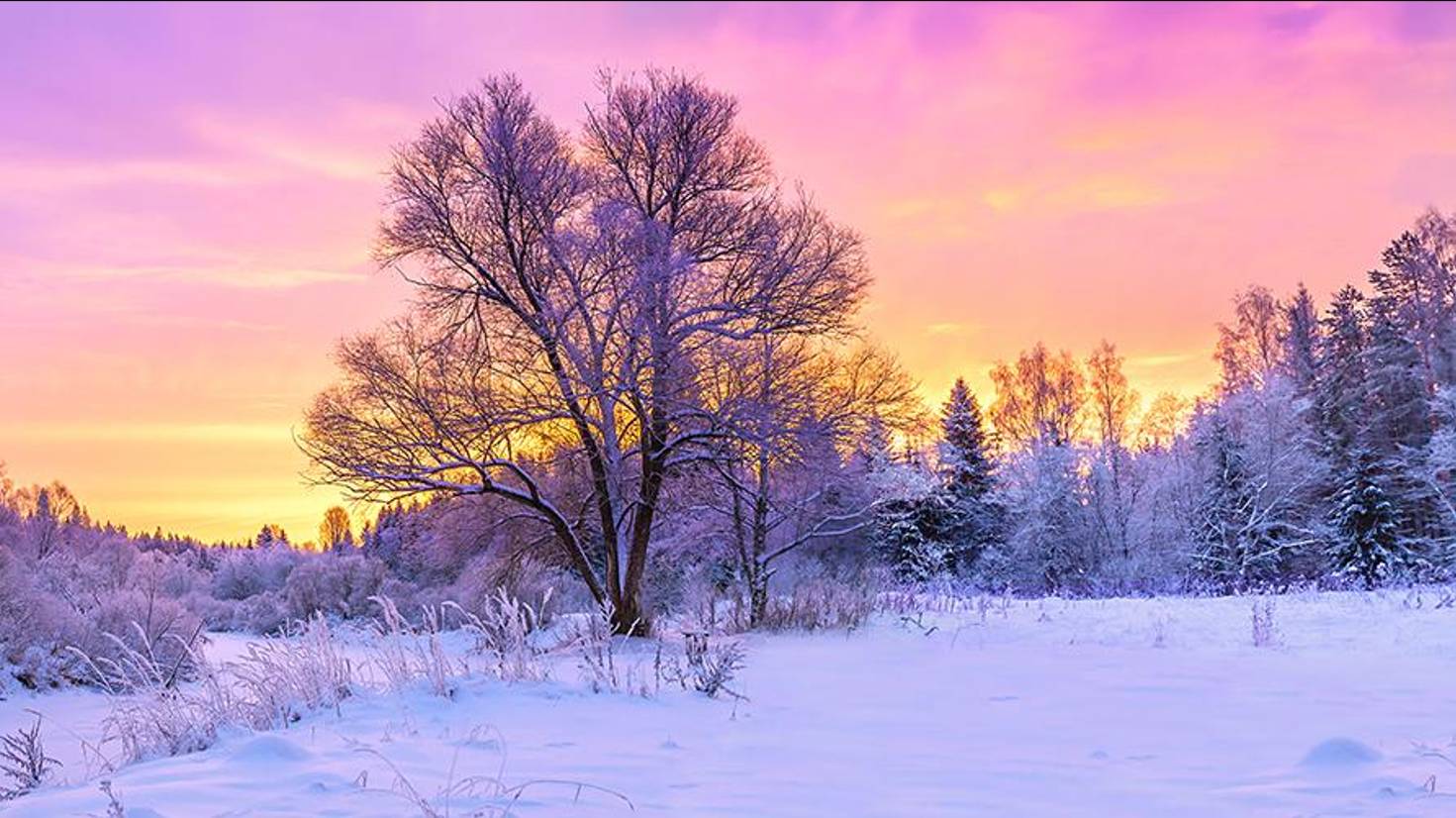 Гендель Г.Ф. Концерты HWV: 287, 316. Сюиты для клавира HWV: 433,436,437,439 / Handel G. F. смотреть онлайн