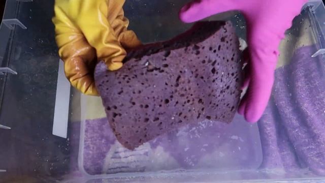 Purple Paste Squeezing | ASMR Sponge Squeezing | Oddly Satisfying смотреть онлайн