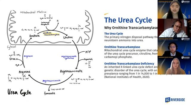 UCR Undergraduate Research: Tammy Nguyen