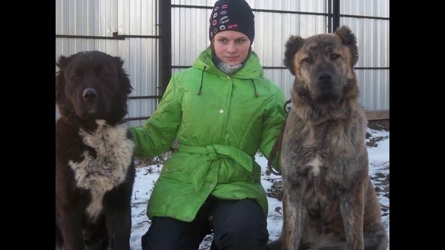 Мои САО моя жизнь Тайна Моей Души и Стеллар Микс Улыбка Зари, Дана, Рич и Жан смотреть онлайн