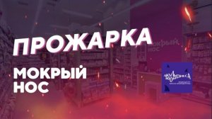 Подкаст «прожарка франшизы Мокрый нос вместе с Акулами зообизнеса»