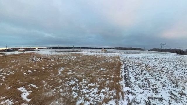 3998002 смотреть онлайн