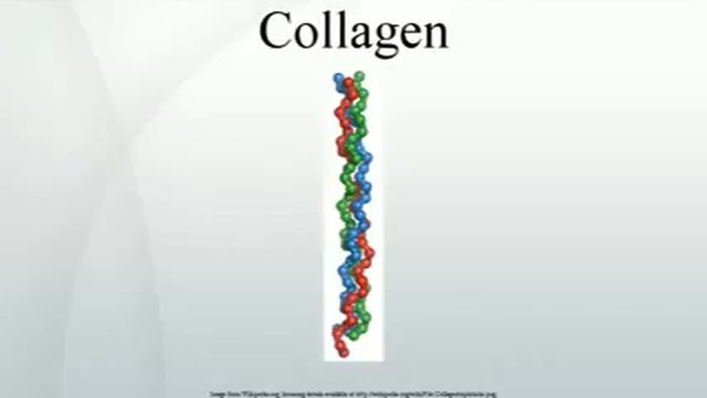 Collagen смотреть онлайн