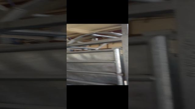 Бокс для убоя КРС по технологии HALAL смотреть онлайн