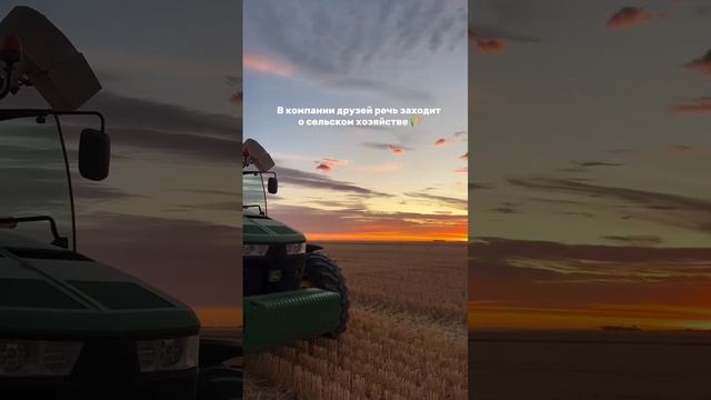 В компании друзей речь заходит о сельском хозяйстве 🌾 смотреть онлайн