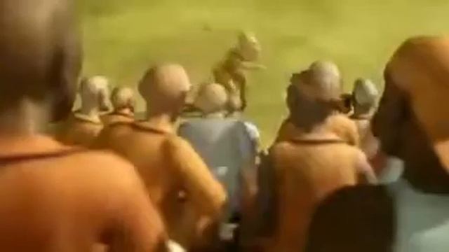 Как нагнуть бор смотреть онлайн