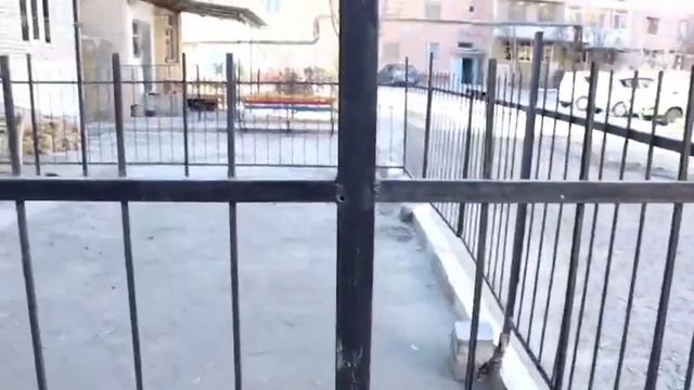 БУХАРА КВАРТИРЫ // АРЗОН КВАРТИРА НАРХЛАРИ 2021.02.17 смотреть онлайн