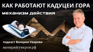 Как работают кадуцеи гора? Подкаст Валерия Уварова